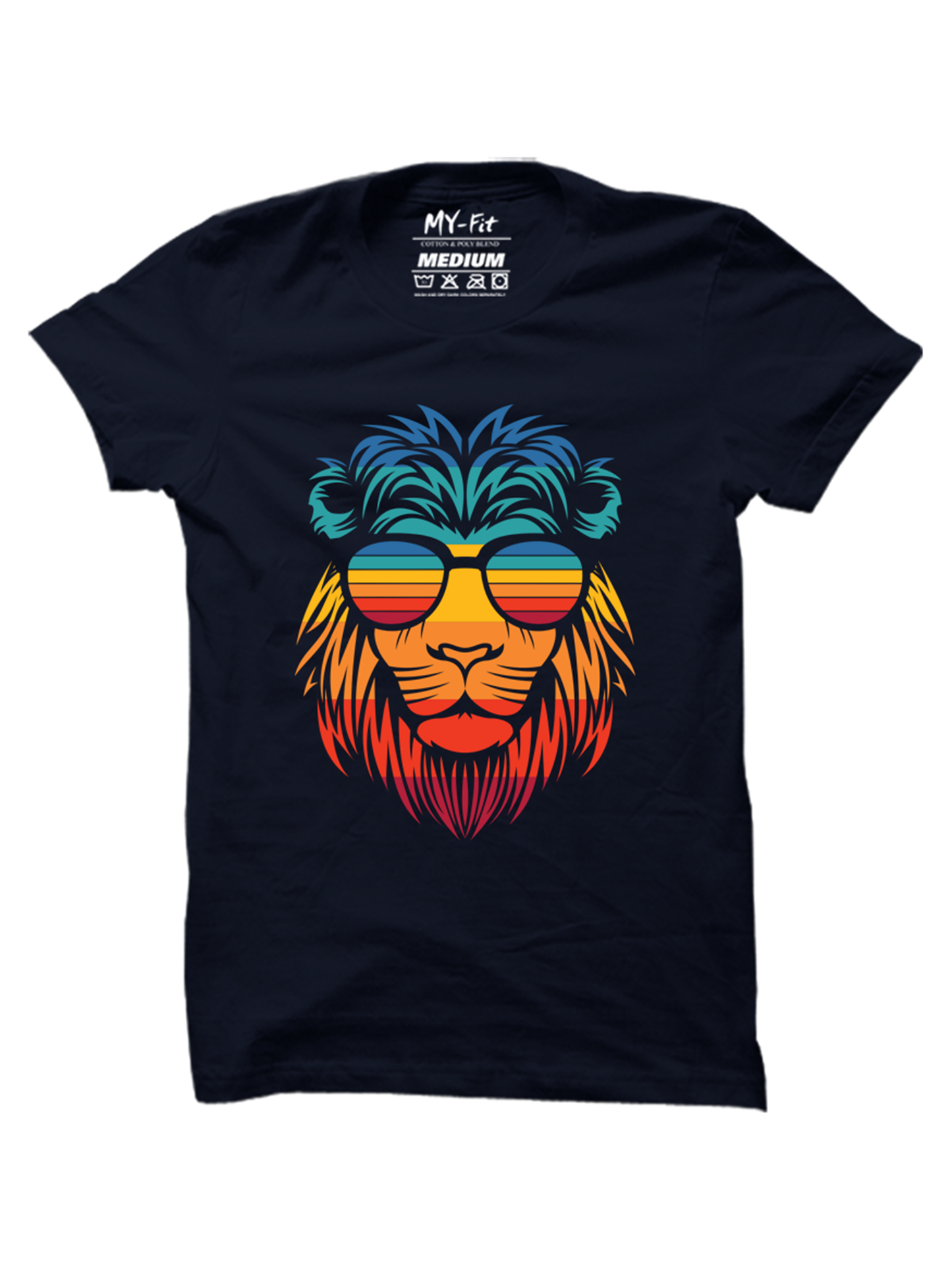 Colorful Lion