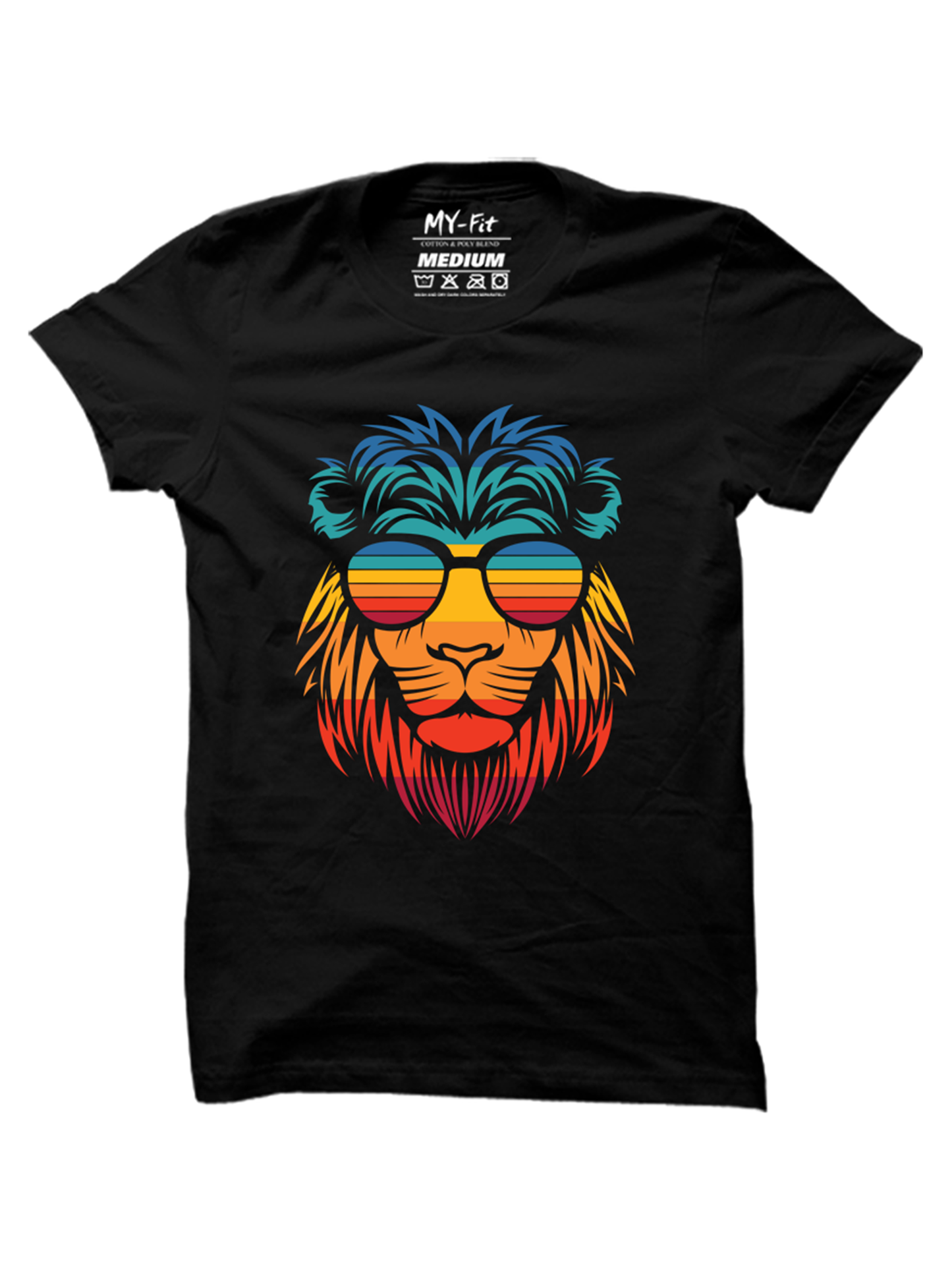 Colorful Lion